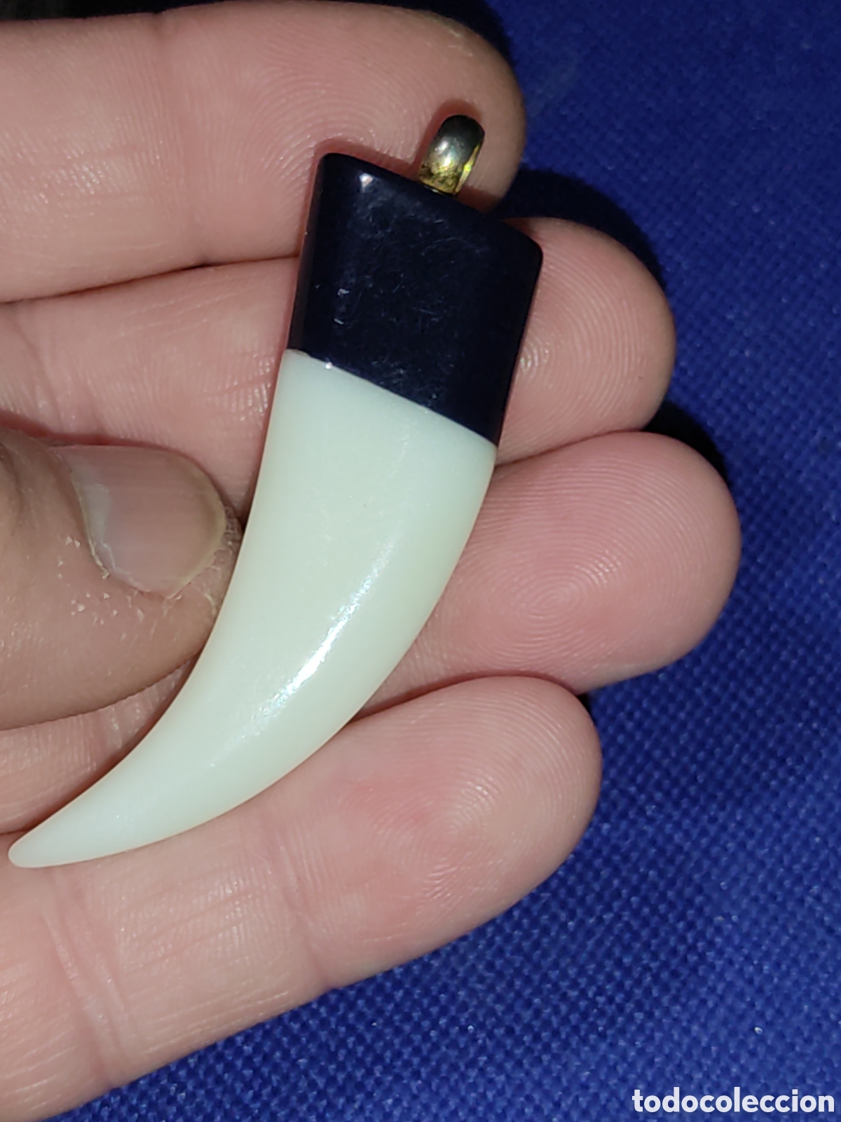 Joyeria: Colgante colmillo para cord&oacute;n de baquelita. - Foto 2