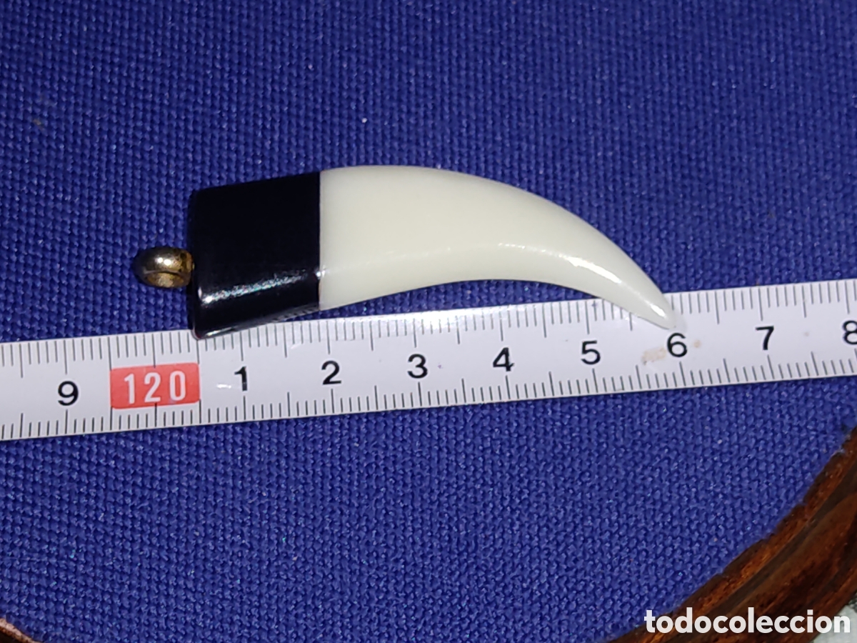 Joyeria: Colgante colmillo para cord&oacute;n de baquelita. - Foto 3