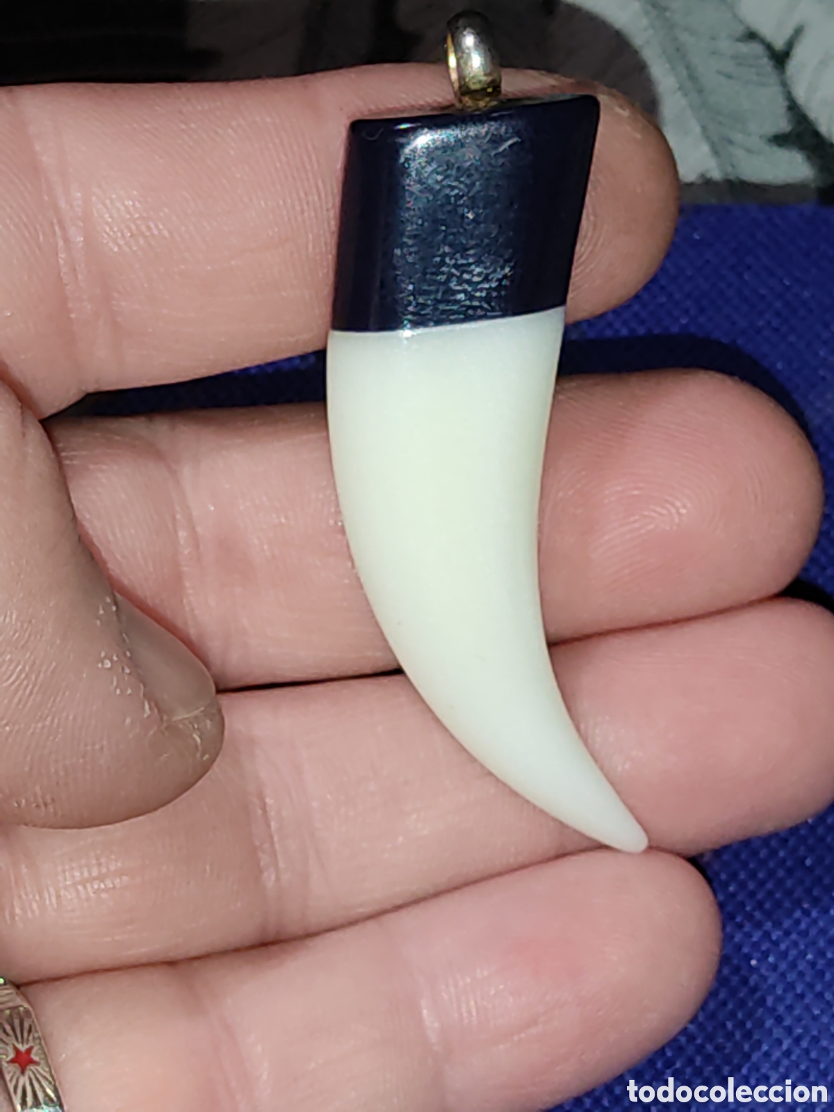 Joyeria: Colgante colmillo para cord&oacute;n de baquelita.
