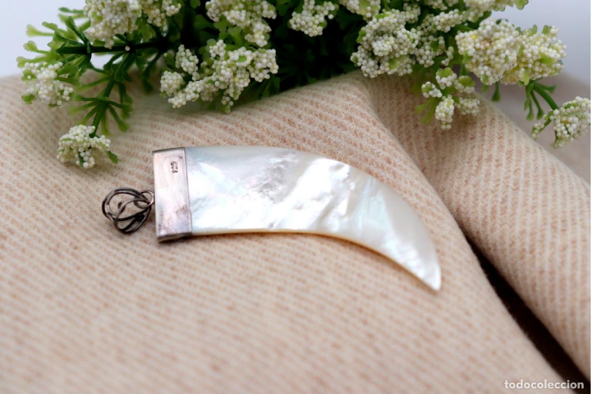 Joyeria: Colgante de plata con forma de colmillo de jabal&iacute;. - Foto 3