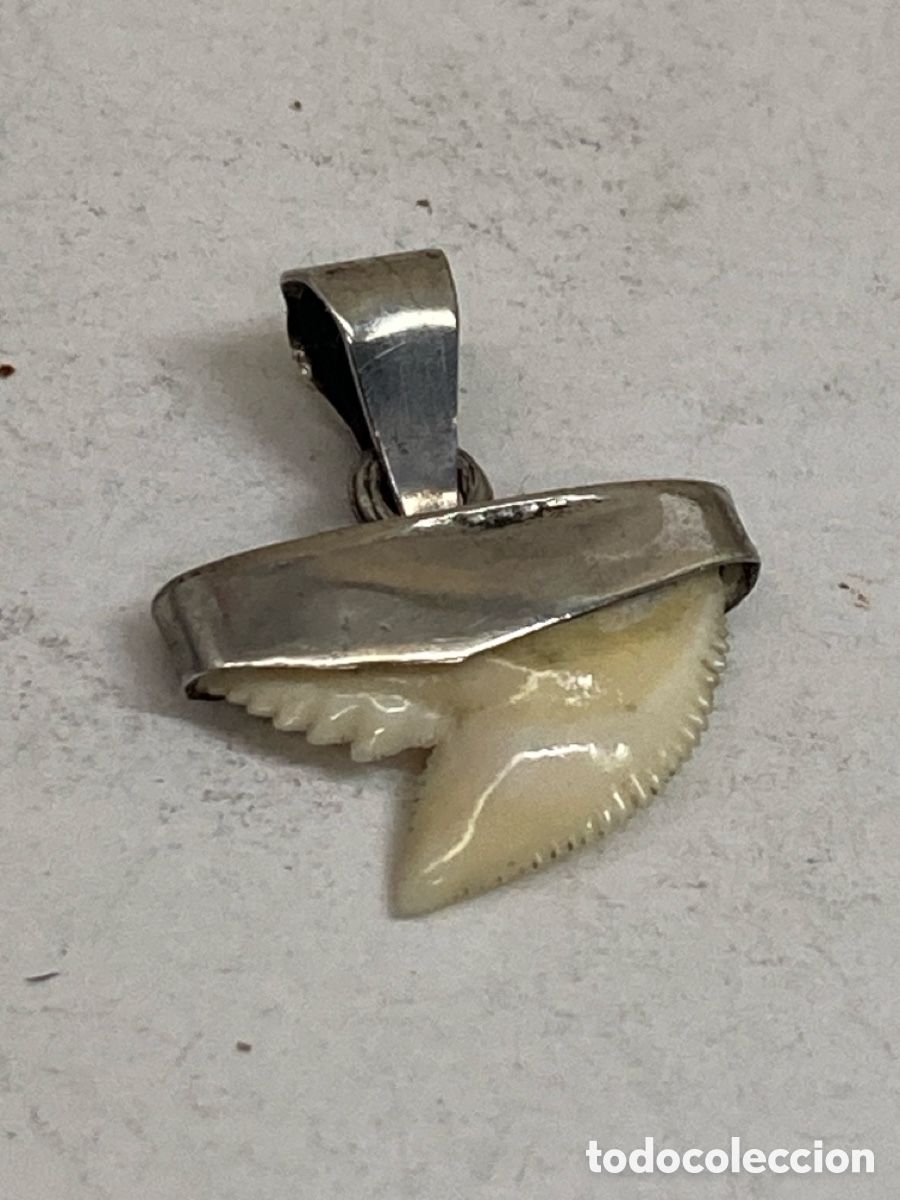 Joyeria: Colgante de plata C588