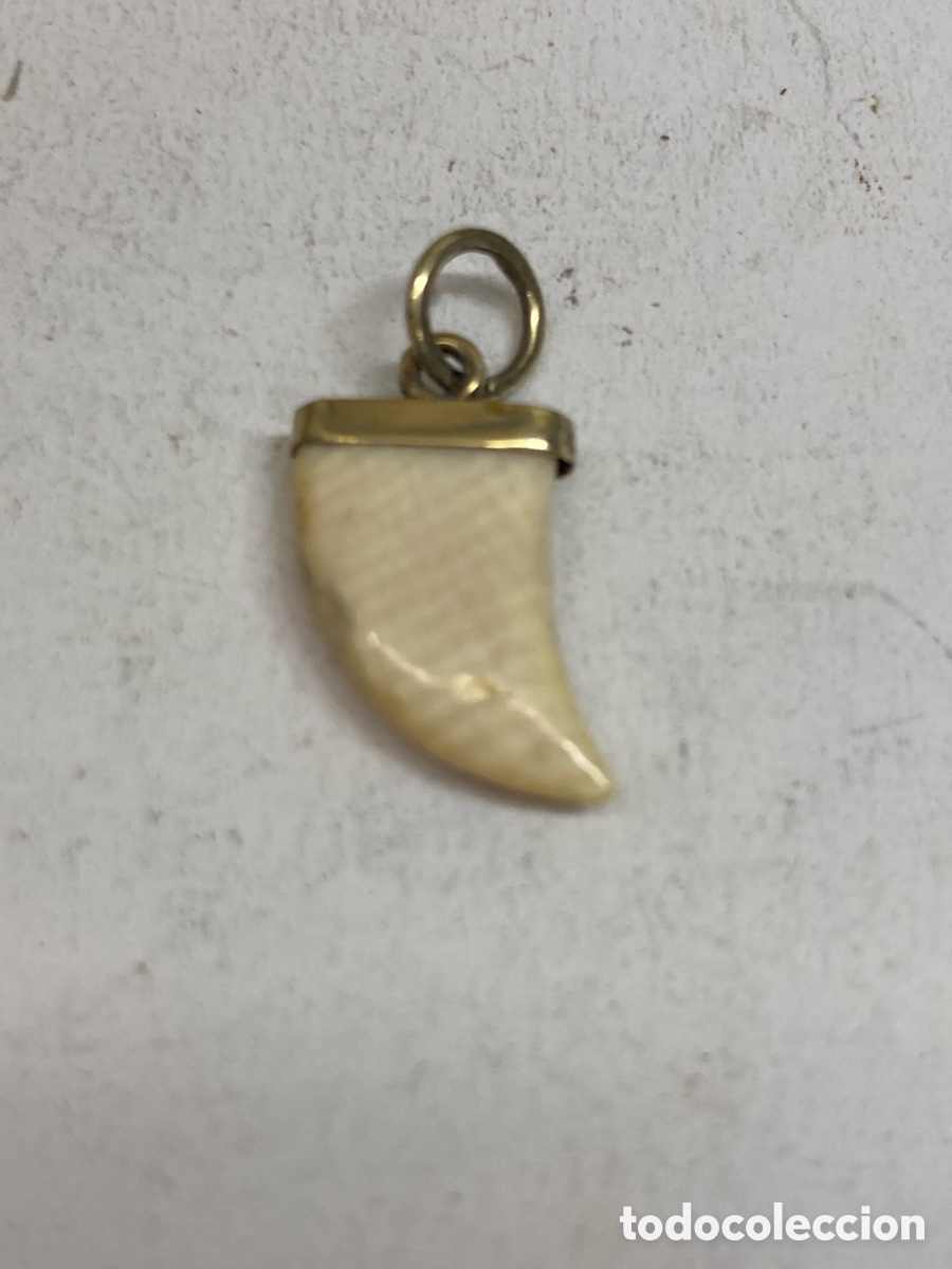 Joyeria: Colgante de plata C589