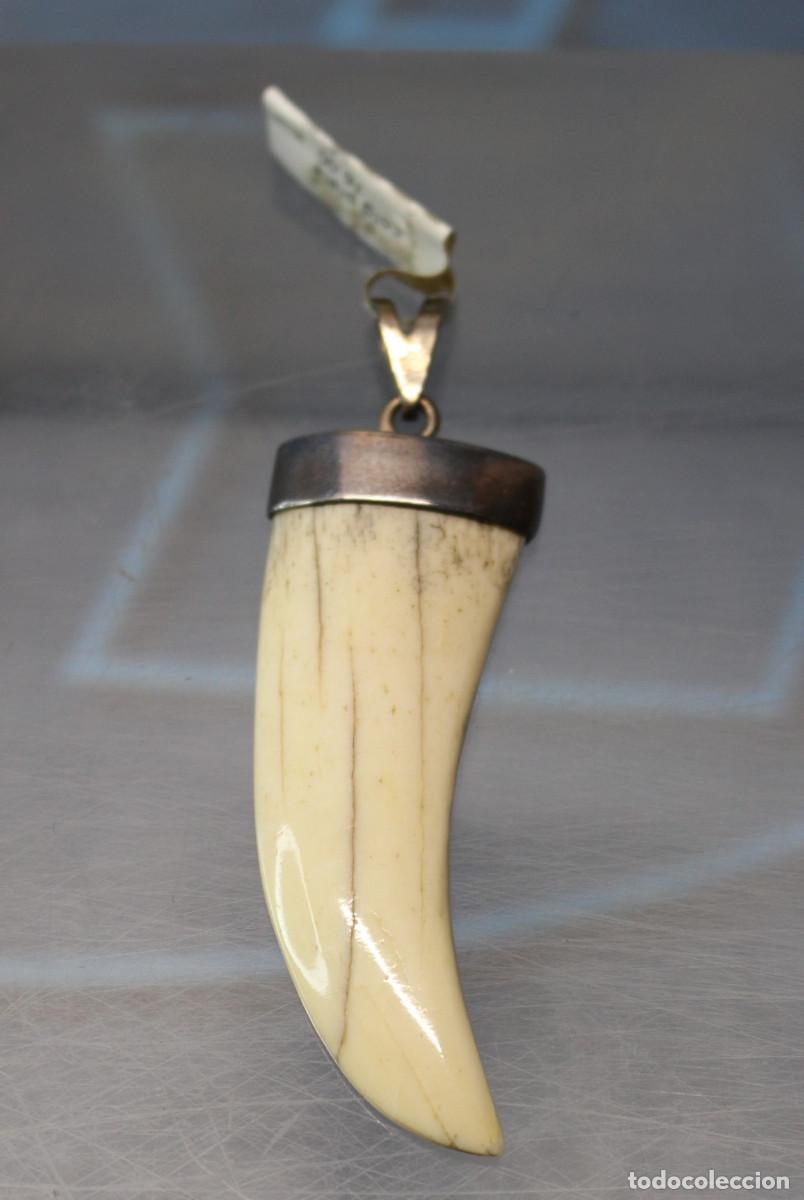 Joyeria: 1. Colgante de plata de ley: Engaste en plata 925 y colmillo o figura de colmillo en marfil o hueso.