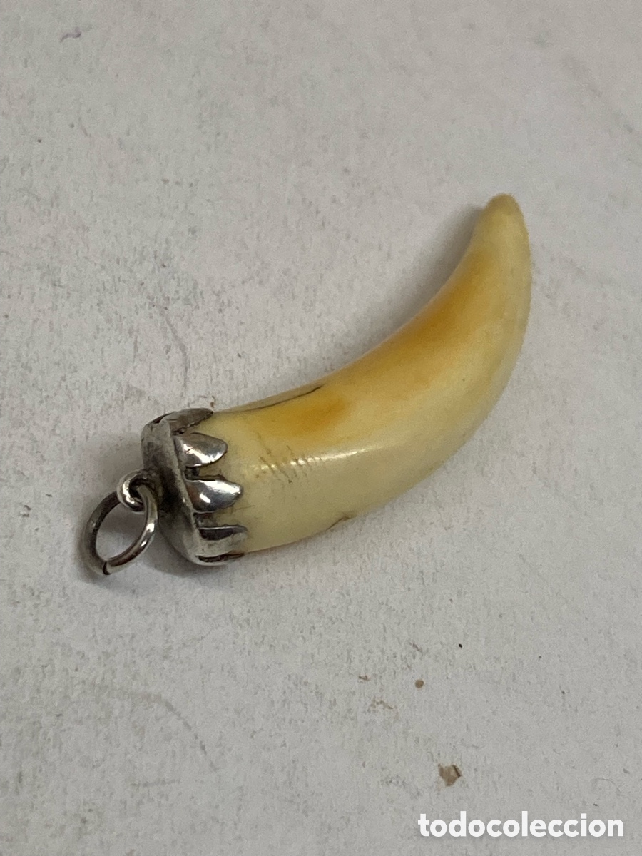 Joaillerie: Colgante de plata y hueso C595