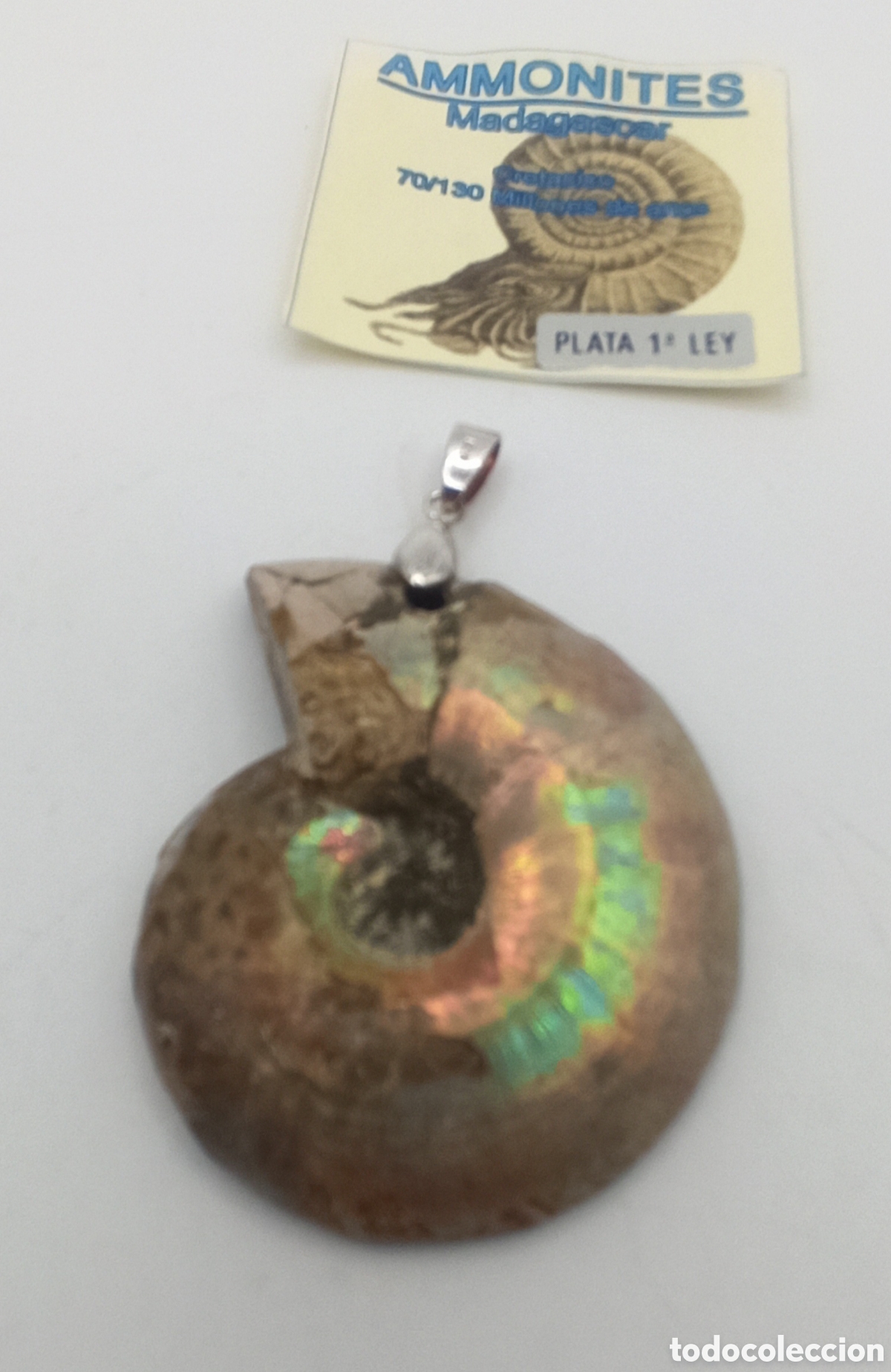 Joyeria: Colgante Ammonite Madagascar y plata - Foto 3