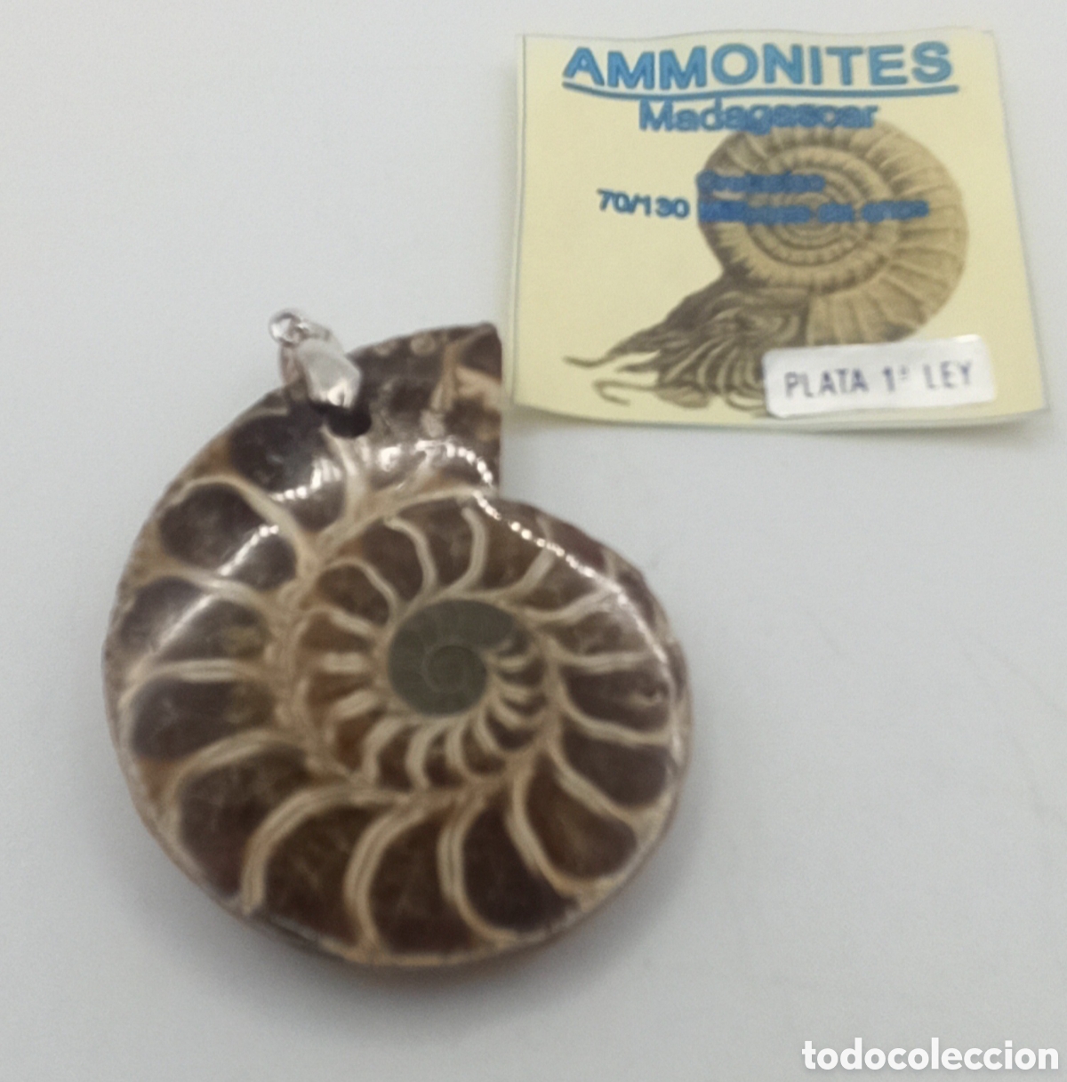 Joyeria: Colgante Ammonite Madagascar y plata - Foto 1
