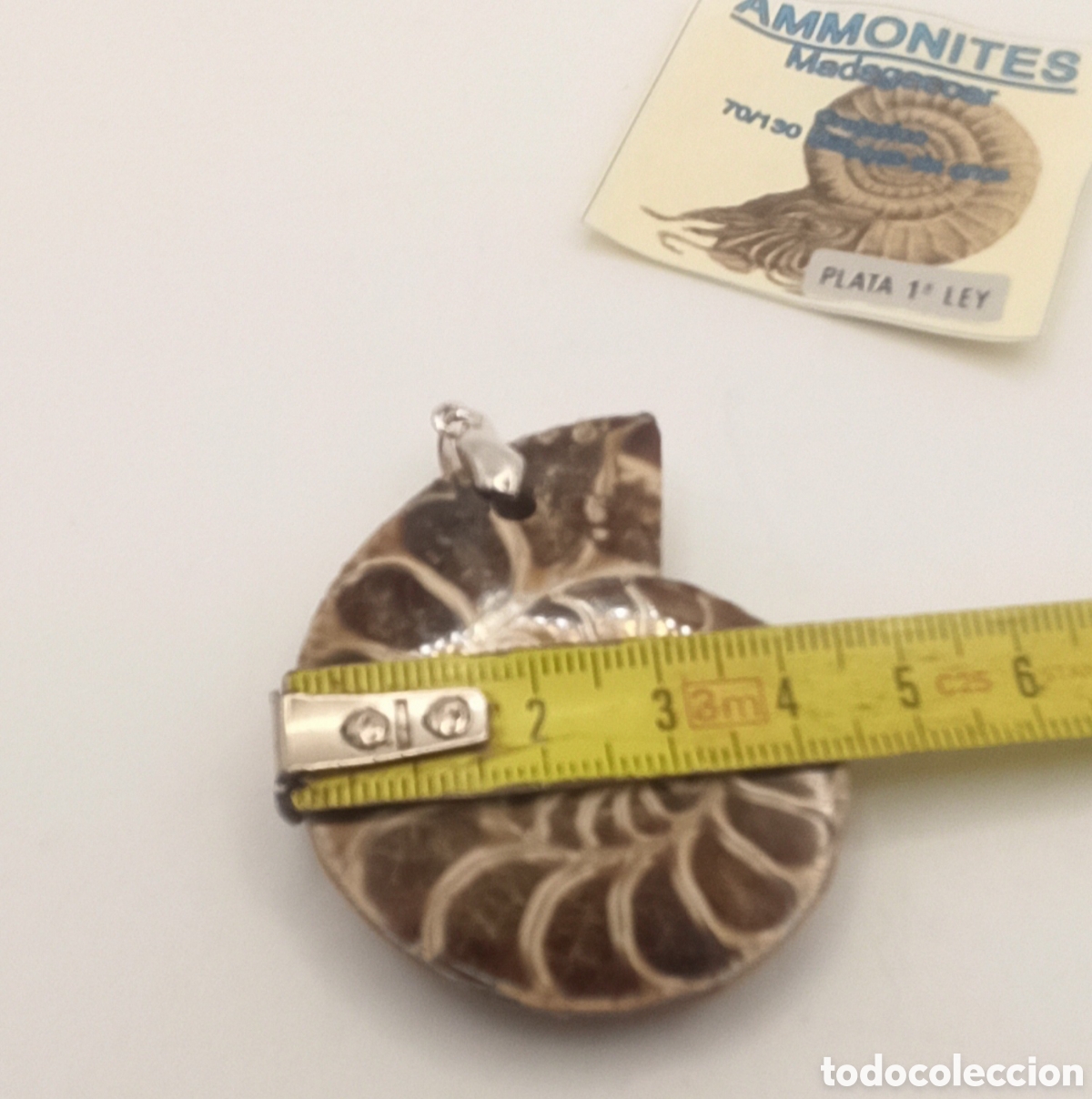 Joyeria: Colgante Ammonite Madagascar y plata - Foto 5
