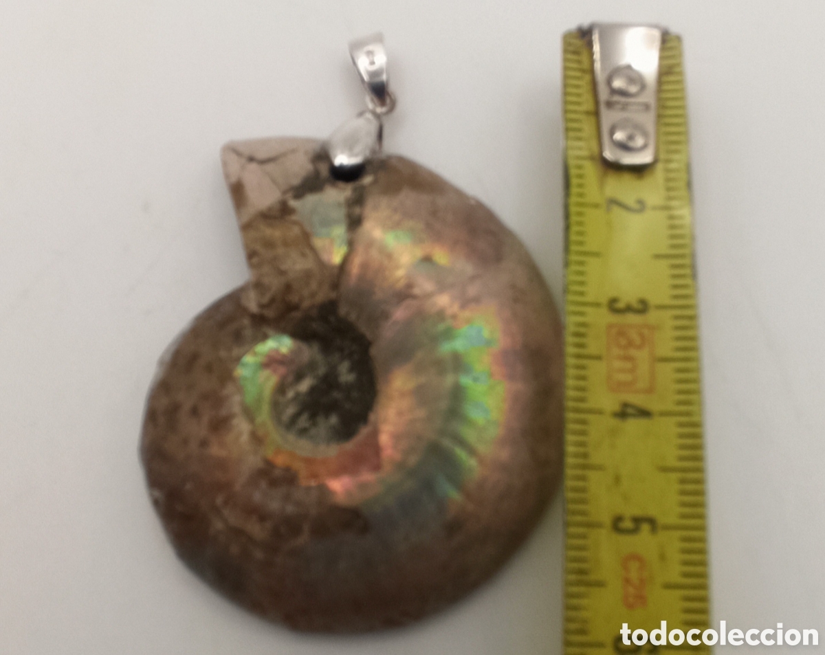 Joyeria: Colgante Ammonite Madagascar y plata - Foto 4