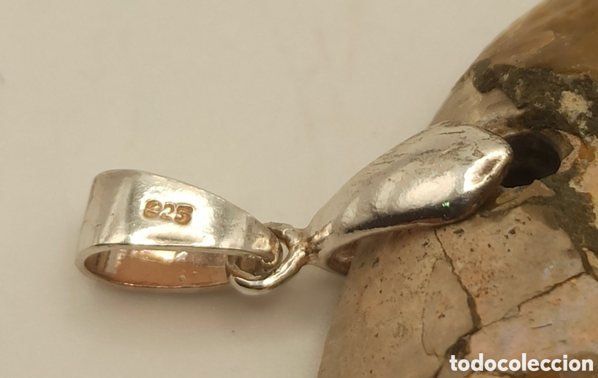 Joyeria: Colgante Ammonite Madagascar y plata - Foto 6