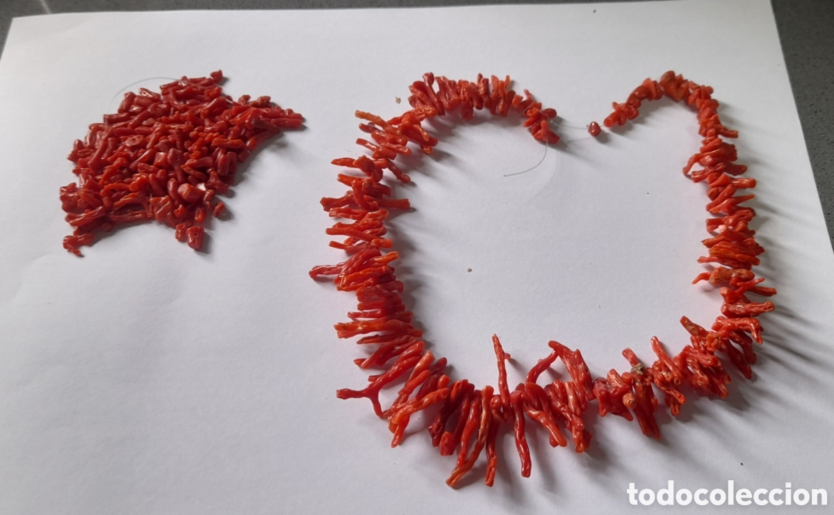 Joyeria: Collar de coral rojo Natural
