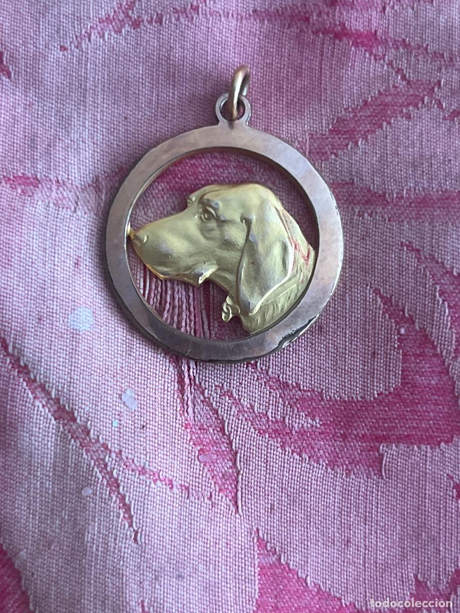 Joyeria: Colgante circular. Realizado en metal dorado. Representado cabeza de perro al aire o calado. S.XX.