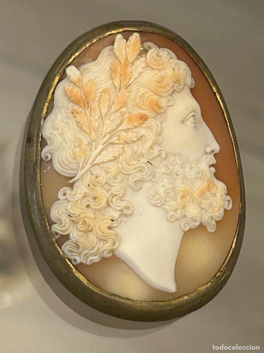Joyeria: Gran camafeo de concha Italia S. XVIII RETRATO DE PERFIL ZEUS J&Uacute;PITER