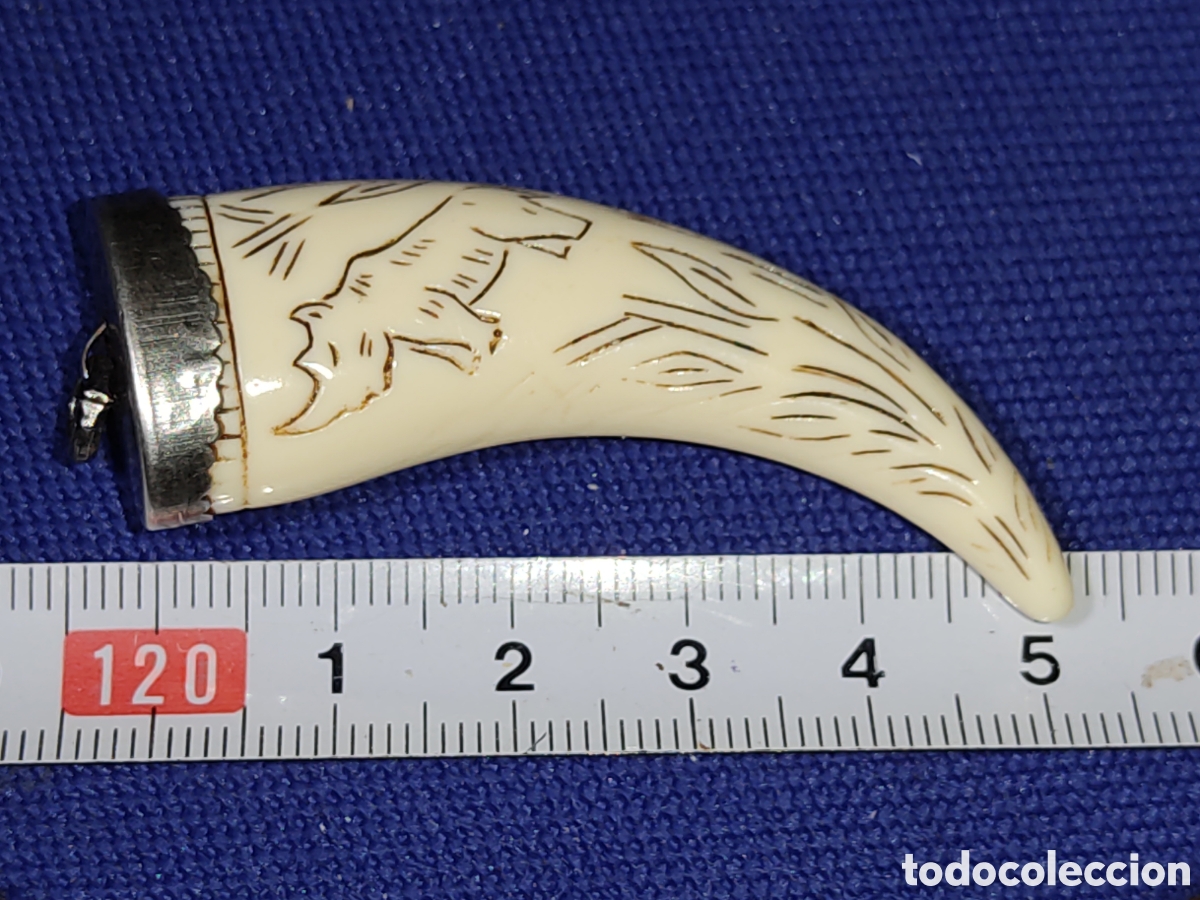 Joyeria: Colmillo de baquelita engarzado en plata - Foto 3