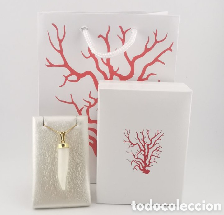 Joyeria: Colmillo de plata de Coral