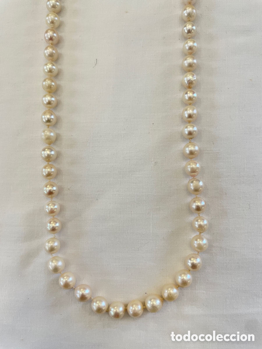 Joyeria: Collar de perlas akoya con broche de oro y rub&iacute;es - Foto 4