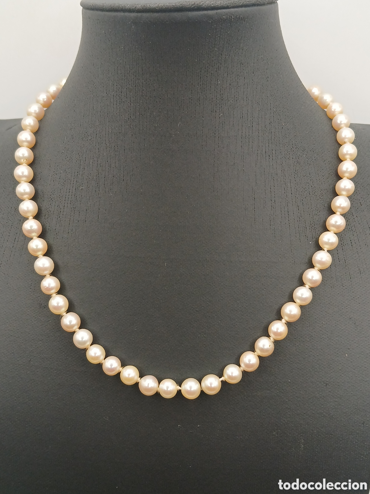 Joyeria: Collar perlas australianas redondas reflejo dorado. Cierre oro 14quilates y plata 925mls