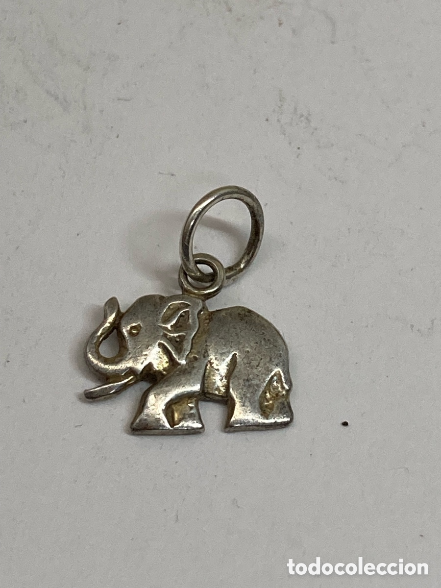 Joyeria: Colgante de plata C617