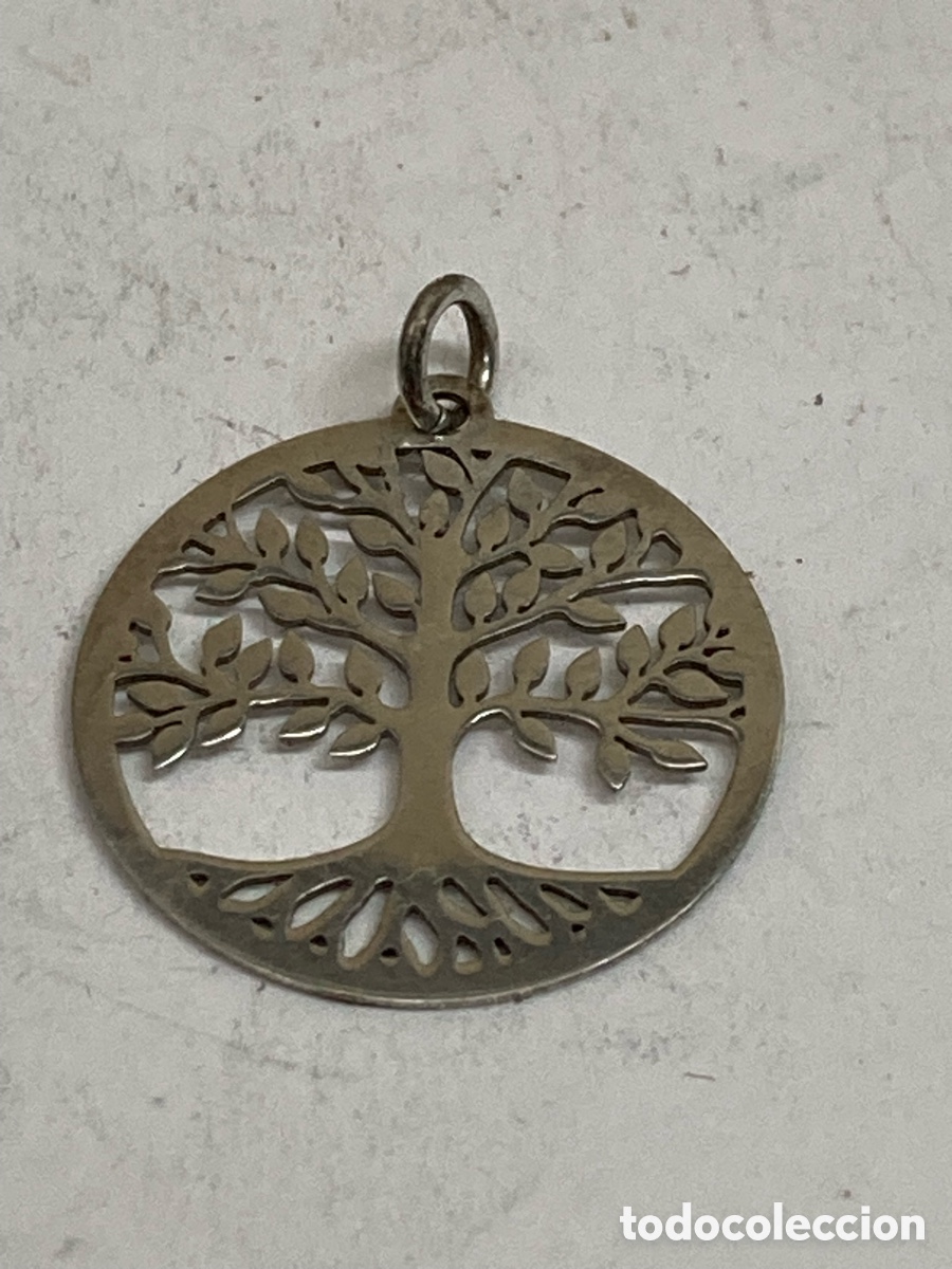 Joyeria: Colgante de plata C617 - Foto 2