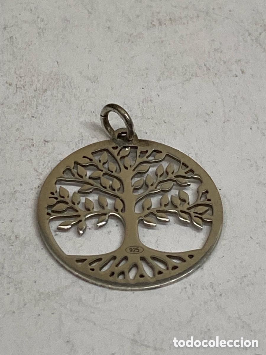 Joyeria: Colgante de plata C617