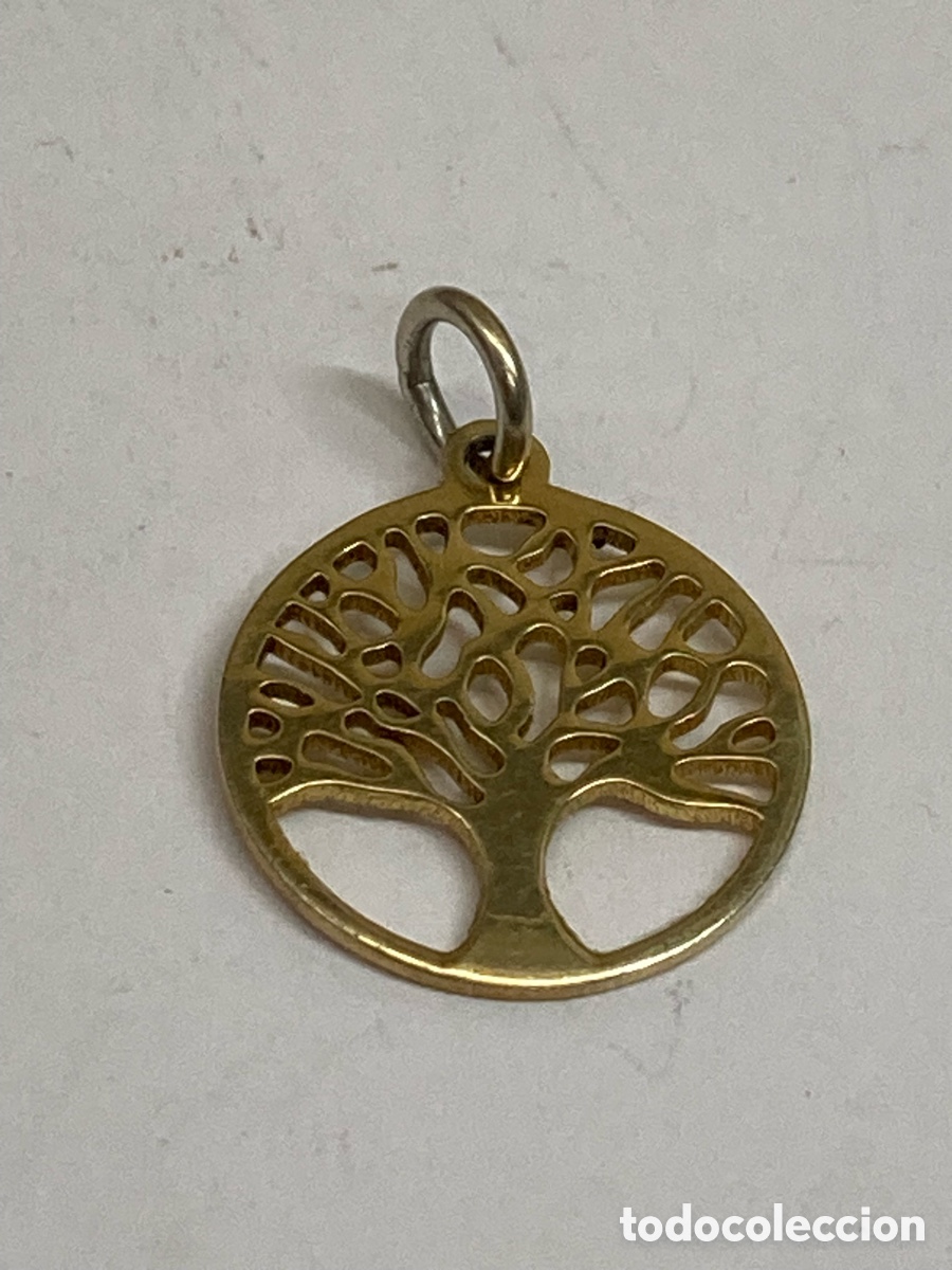 Joyeria: Colgante de plata C621 - Foto 1