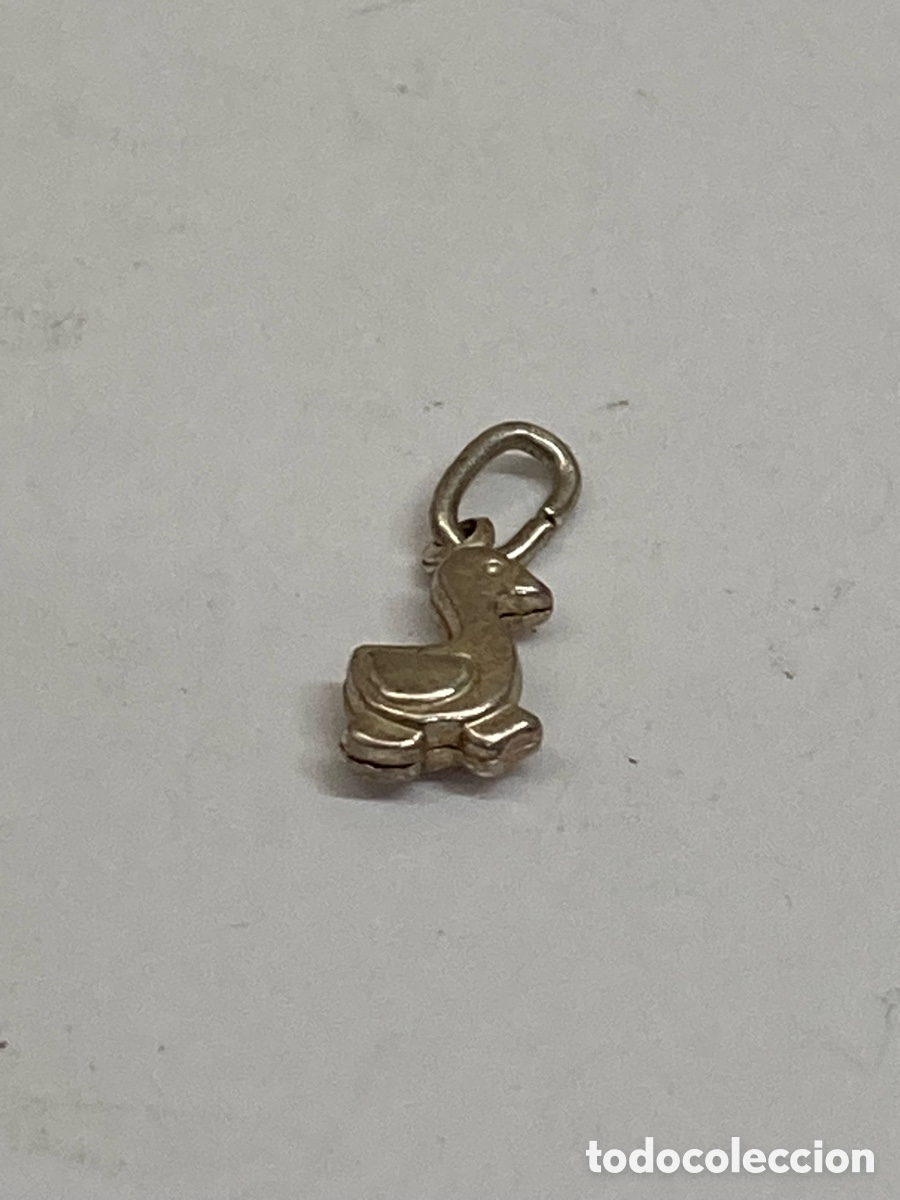 Joyeria: Colgante de plata C621