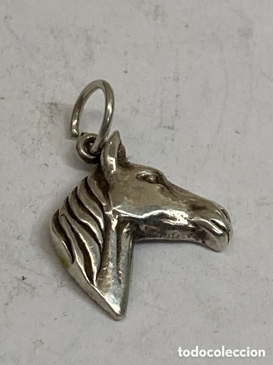 Joyeria: Collar de plata CC480