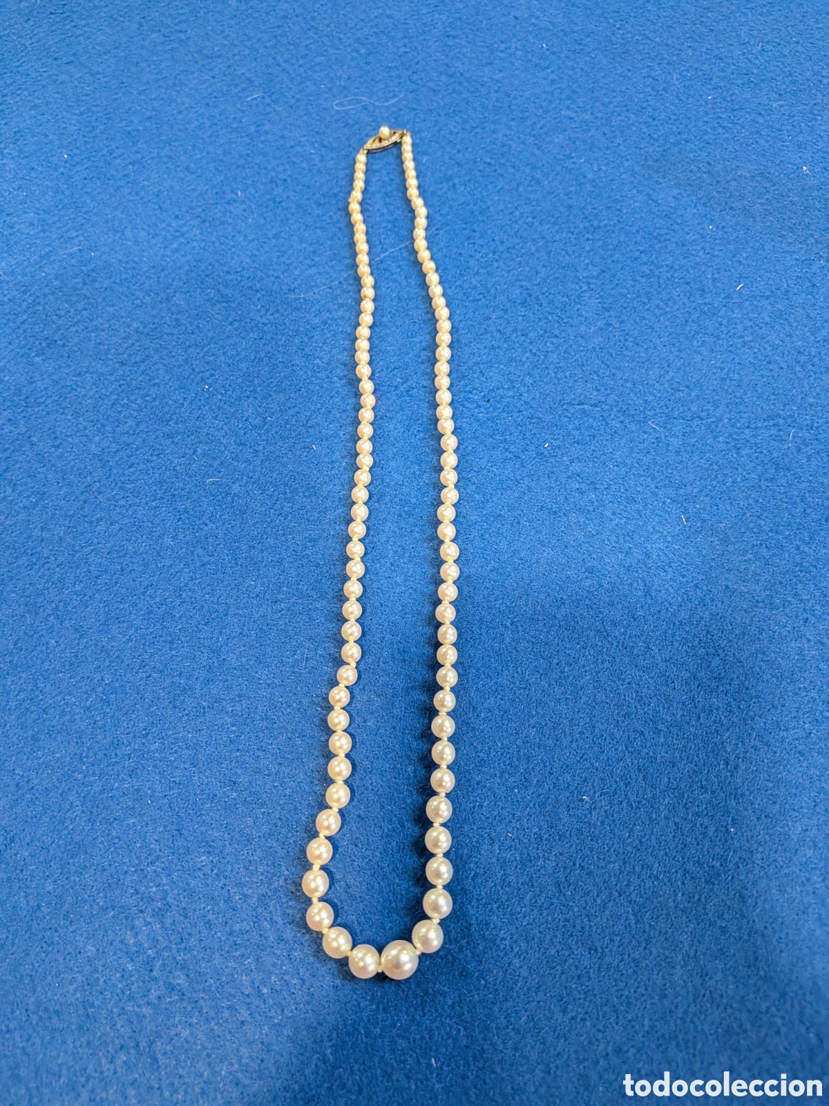 Joyeria: Collar antiguo de perlas cultivadas. REF-6537 - Foto 1