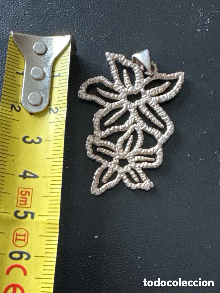 Joyeria: Colgante plata de ley con 2 estrellas de mar (A2) - Foto 3