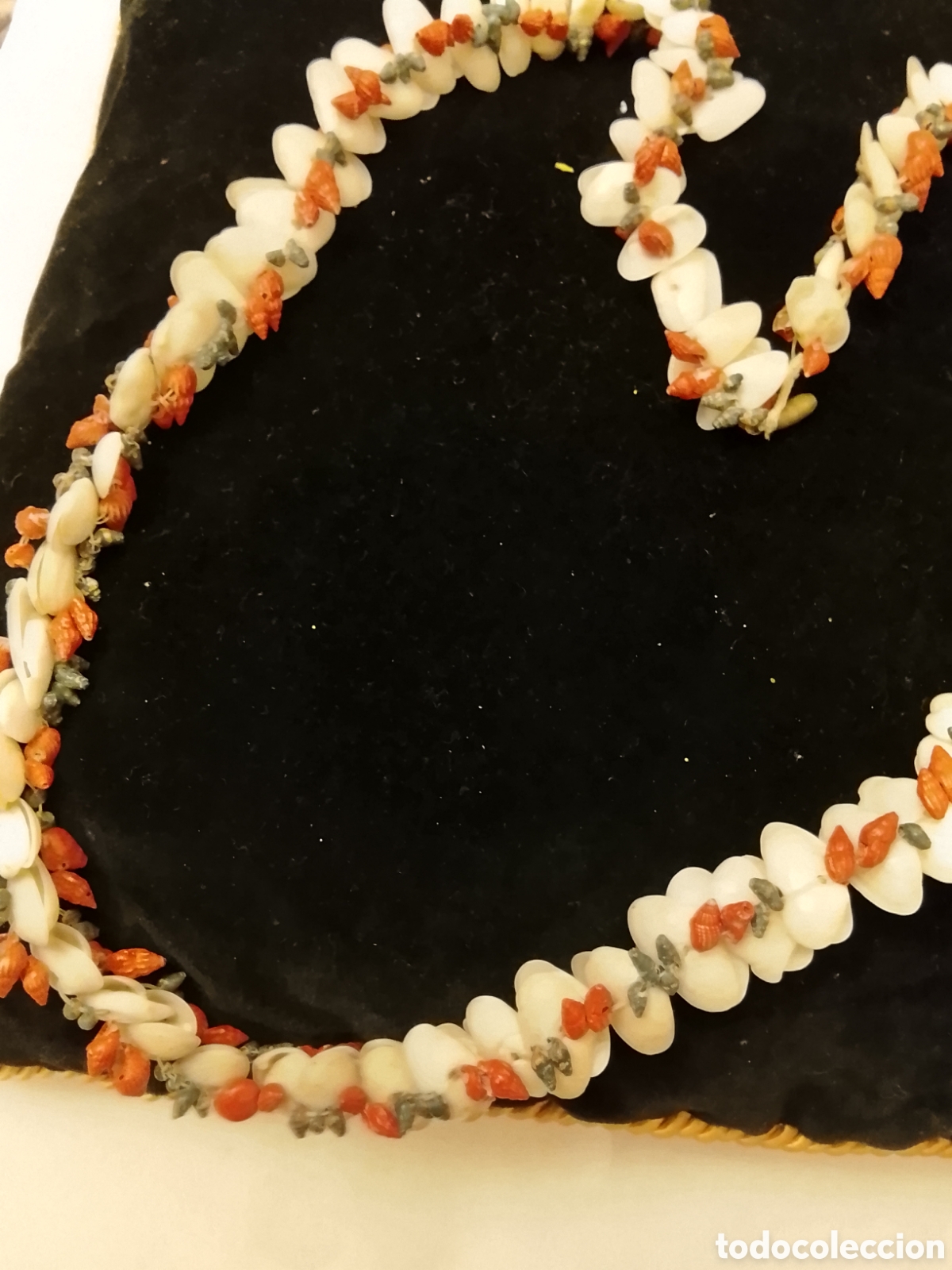 Joyeria: Antiguo collar de conchas ,es de los a&ntilde;os 50 .Mide 60 cent - Foto 2