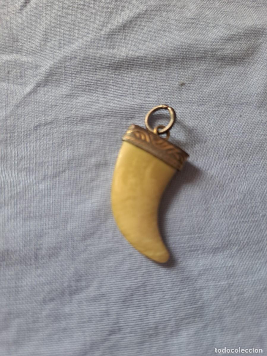 Joyeria: Colgante colmillo de marfil y plata.