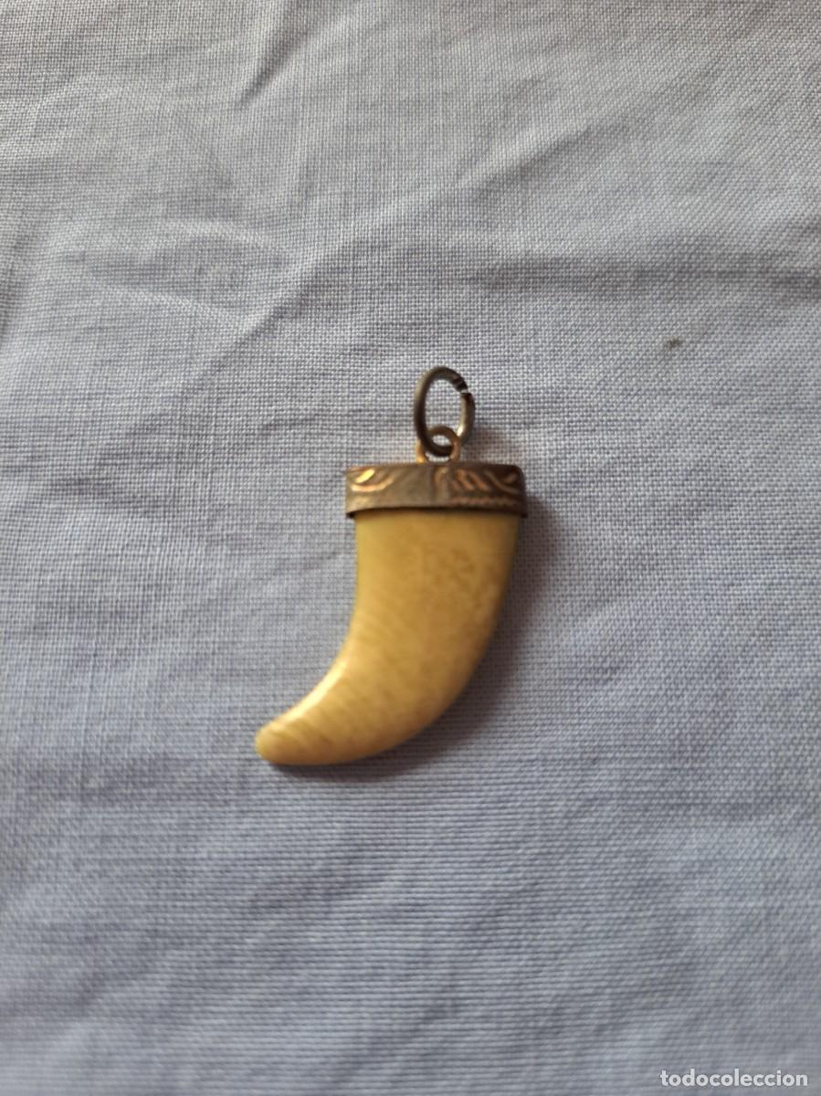 Joyeria: Colgante colmillo de marfil y plata. - Foto 4