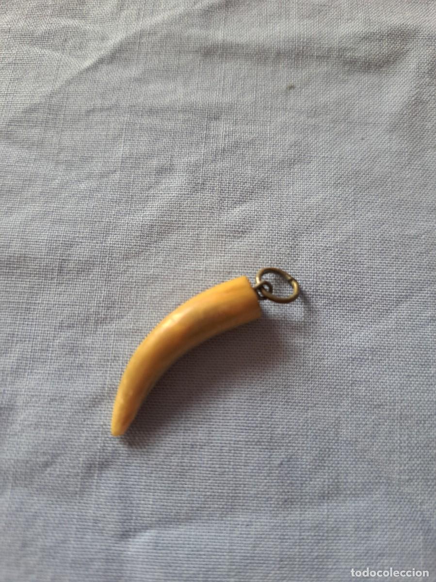 Joyeria: Colgante colmillo de marfil y metal - Foto 3