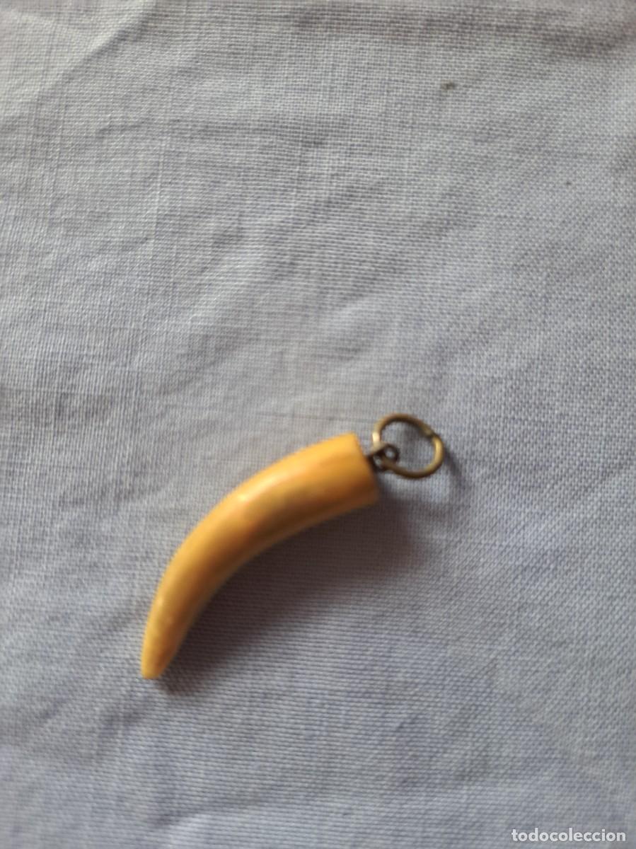 Joyeria: Colgante colmillo de marfil y metal - Foto 4