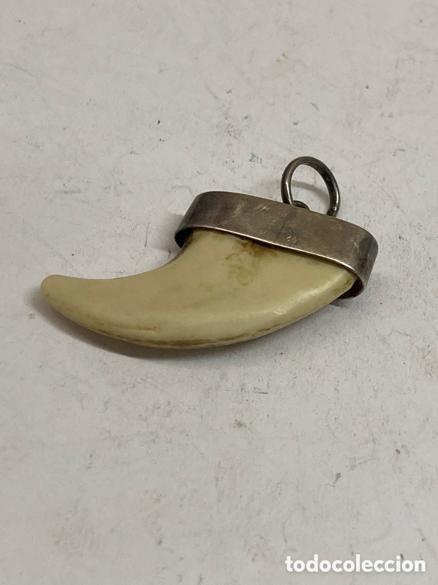 Joyeria: Colgante de plata y hueso C630