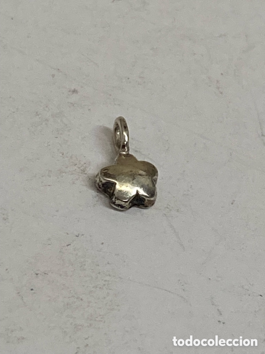 Joyeria: Colgante de plata C630