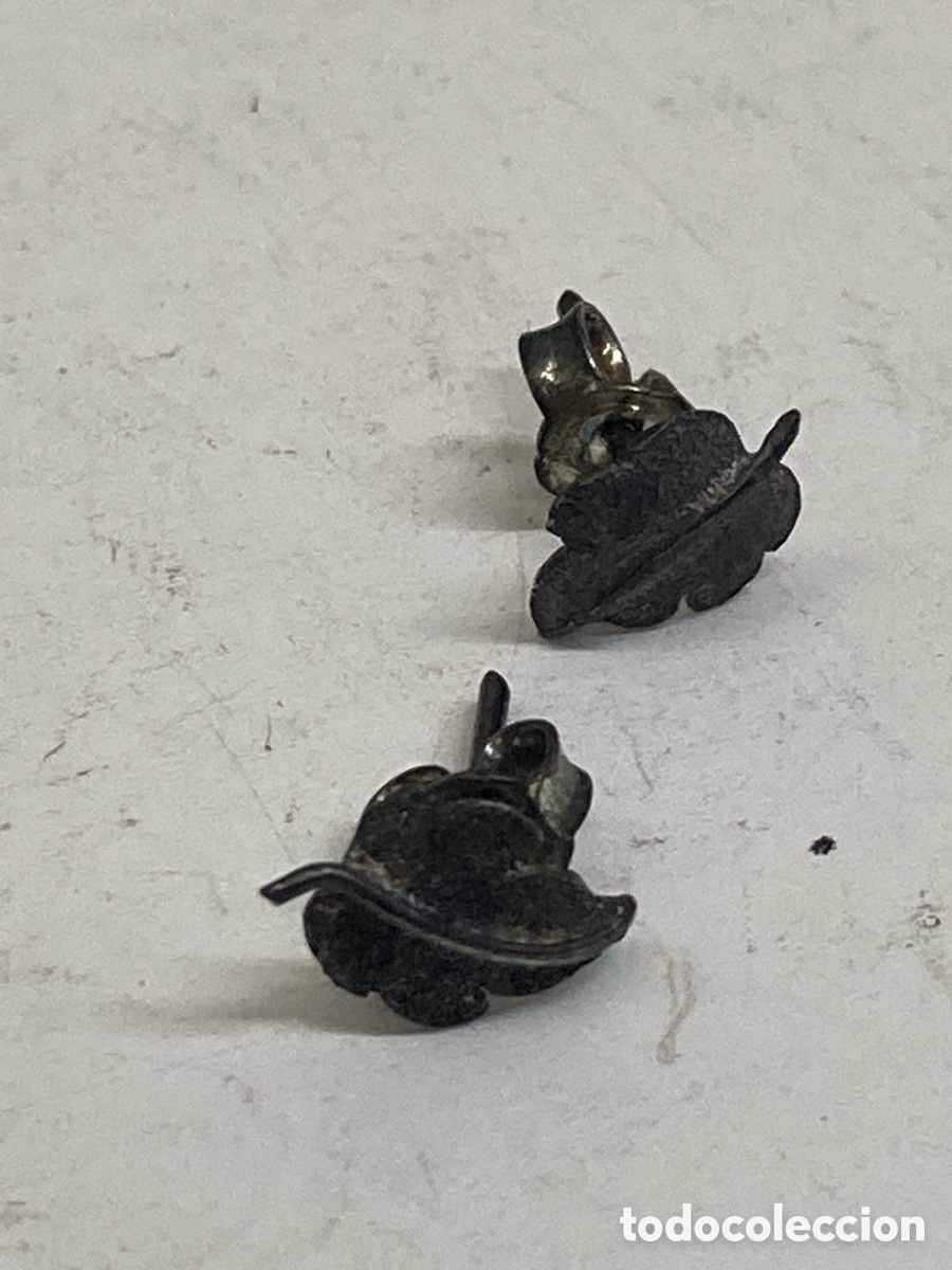 Joyeria: Pendientes de plata P510