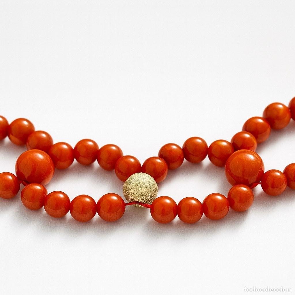 Joyeria: Collar Plata Coral - Coral