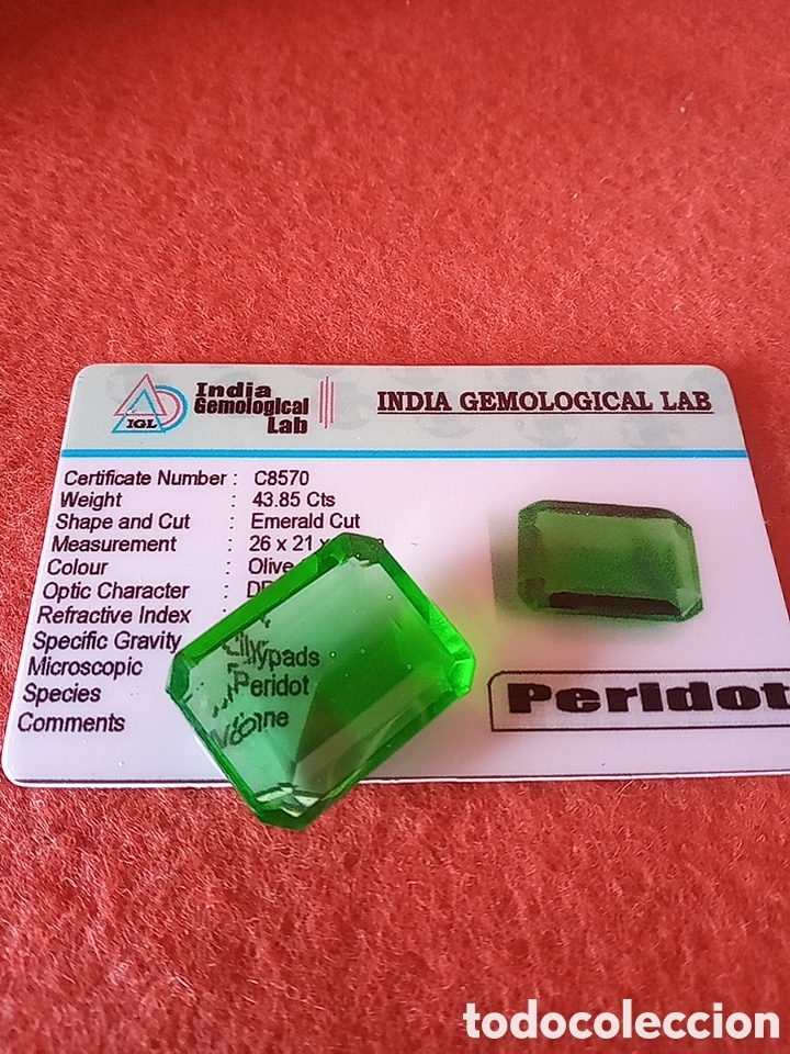 Joyeria: PERIDOTO INDIA GEMOLOGICAL LAB