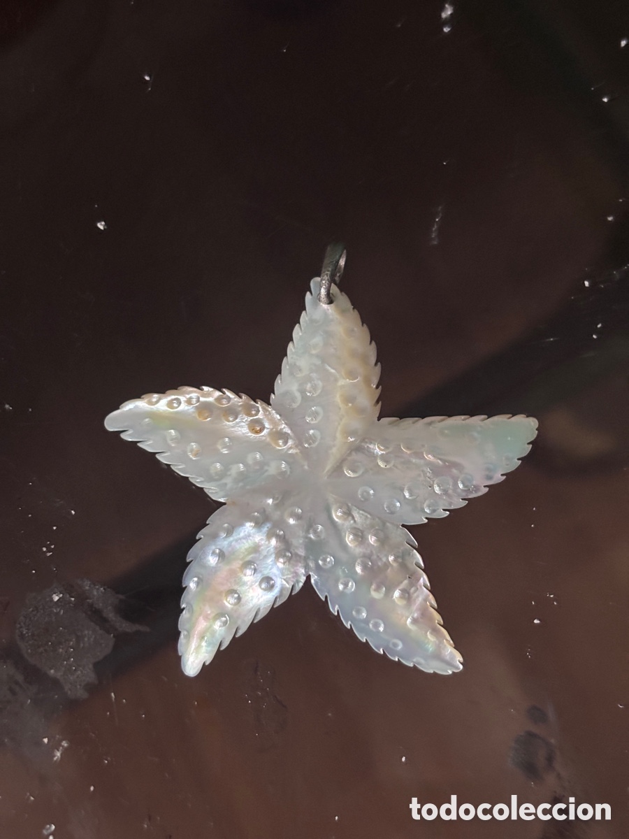 Joyeria: OLGANTE VINTAGE GRANDE ESTRELLA DE MAR EN MADREPERLA Y PLATA - A&Ntilde;OS 50/60 (6,5 CM)