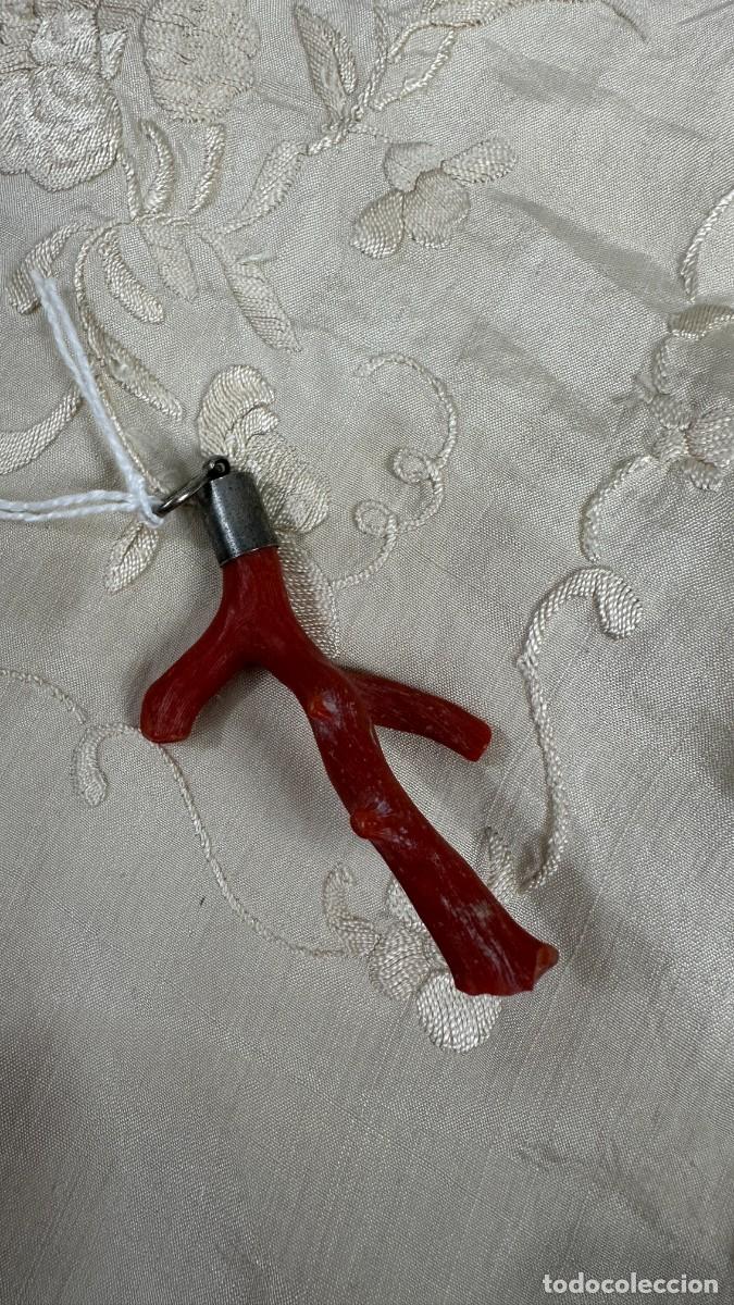Joyeria: Rama de coral y plata