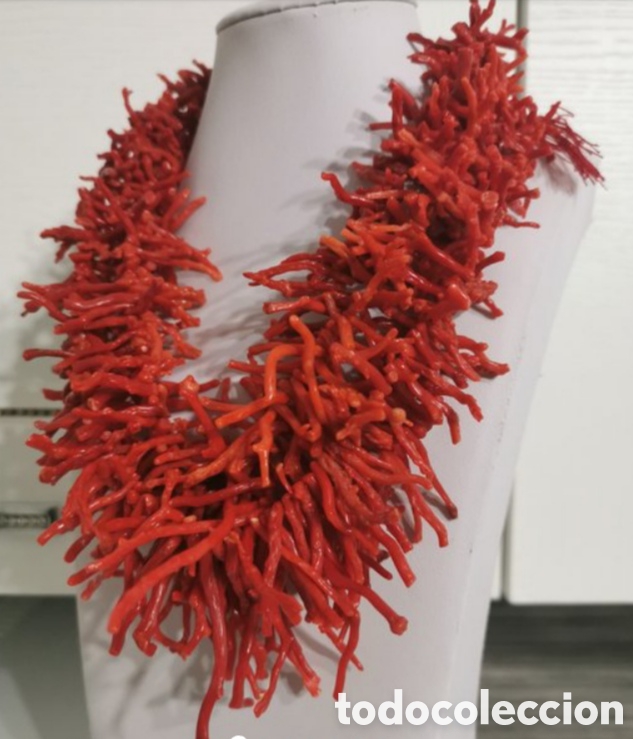 Joyeria: Cuentas de coral rojo