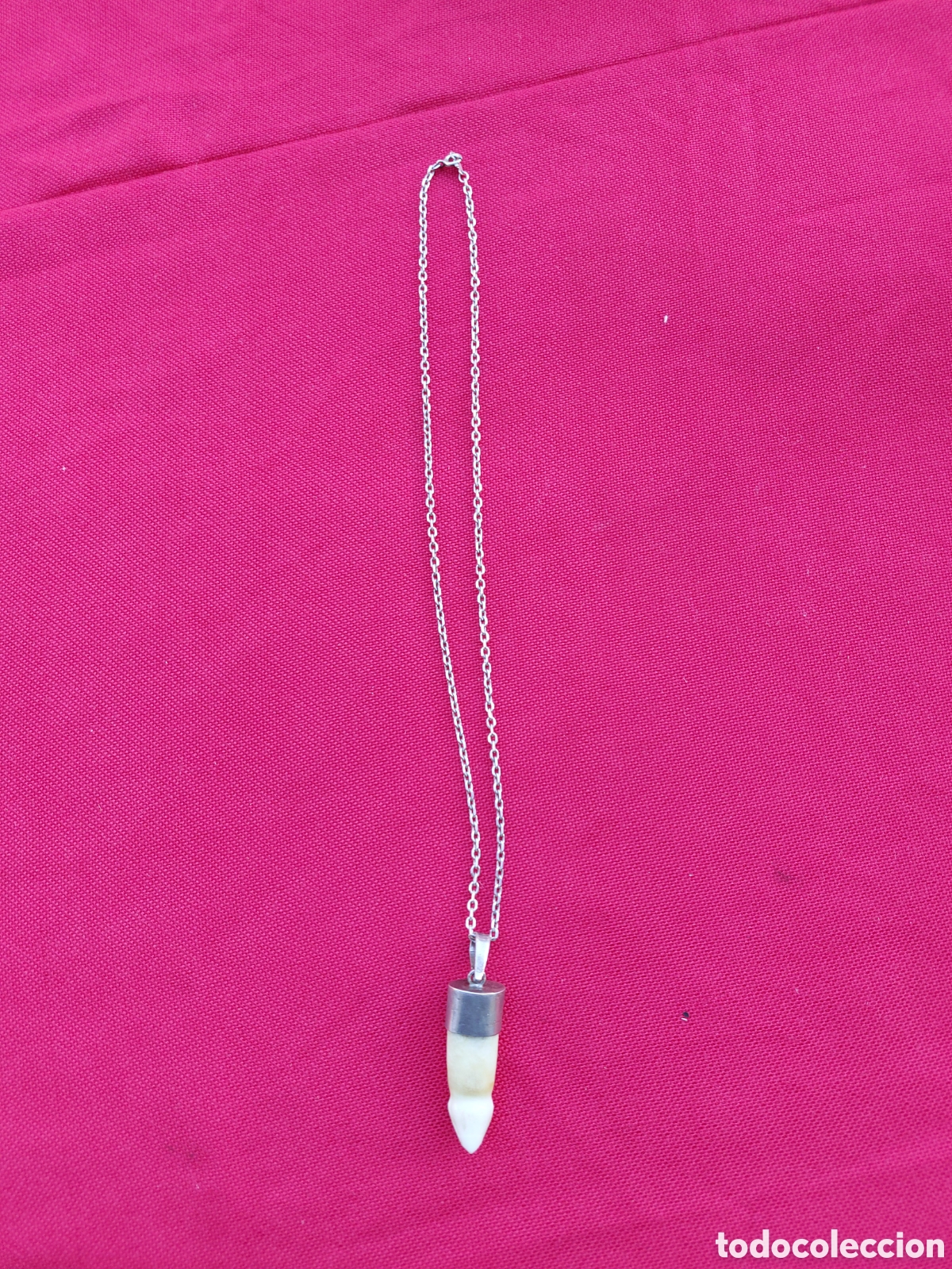 Joyeria: Cadena de plata y colgante hueso