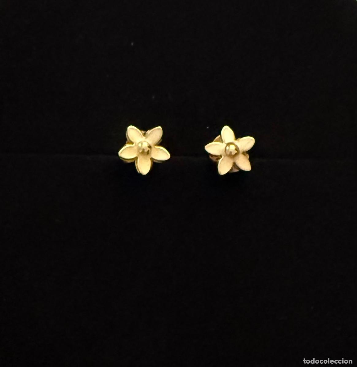 Joyeria: Pendientes oro 18 kilates y esmalte
