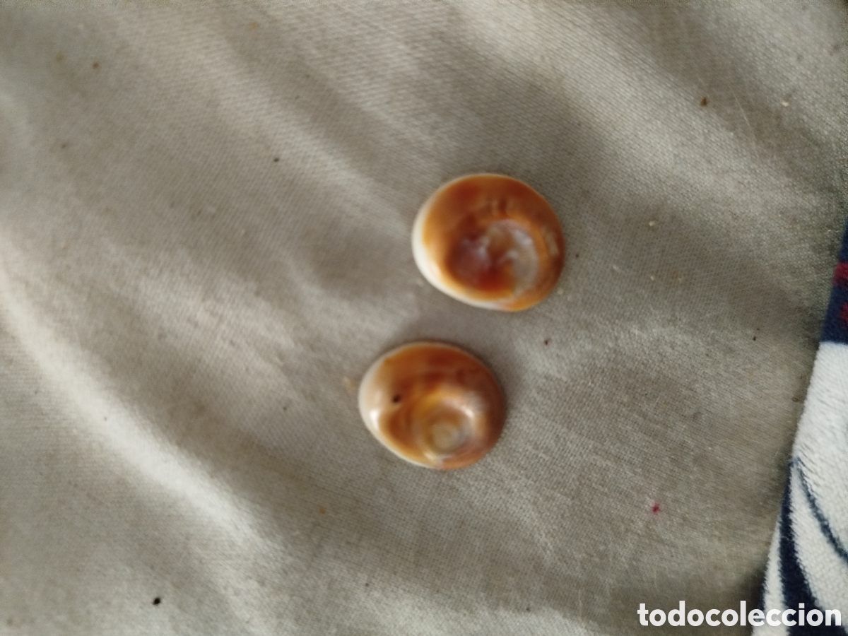 Joyeria: Jaquecas de playa peque&ntilde;as