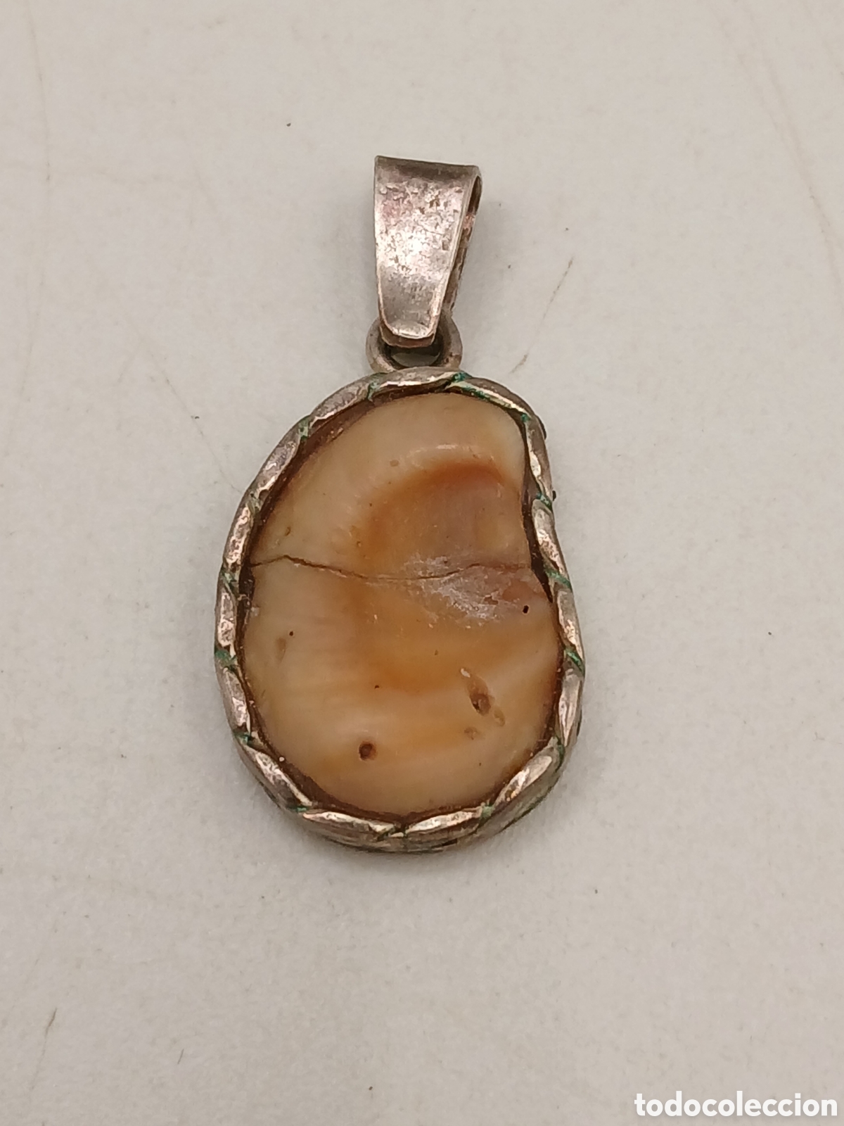 Joyeria: Colgante plata 925mls y concha marina