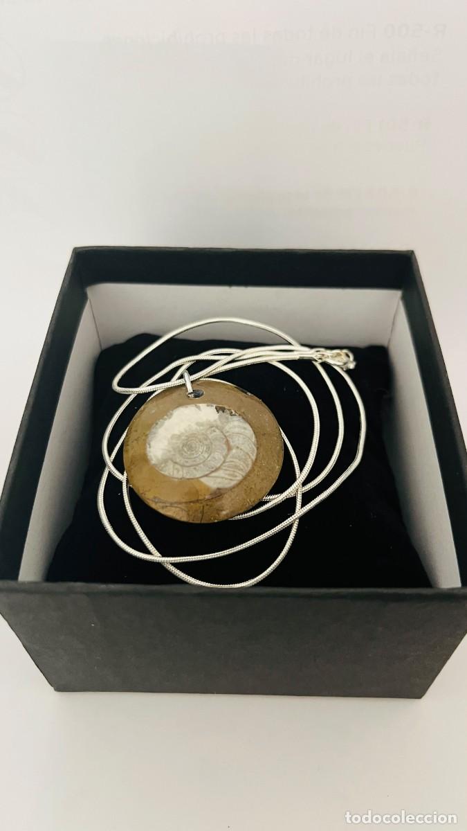 Joyeria: Colgante de F&oacute;sil de Goniatita Primitiva en Plata 925