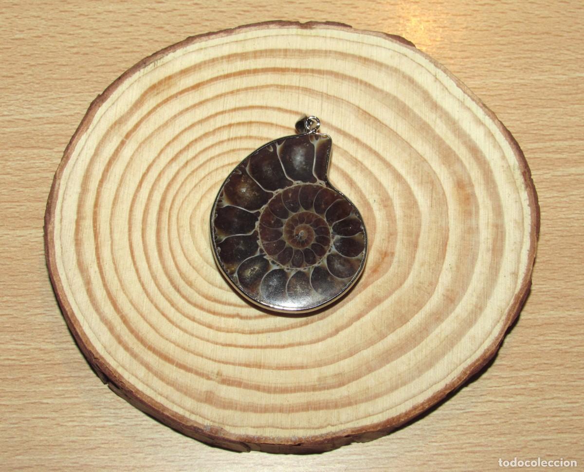 Joyeria: Colgante f&oacute;sil de amonita en bisel met&aacute;lico