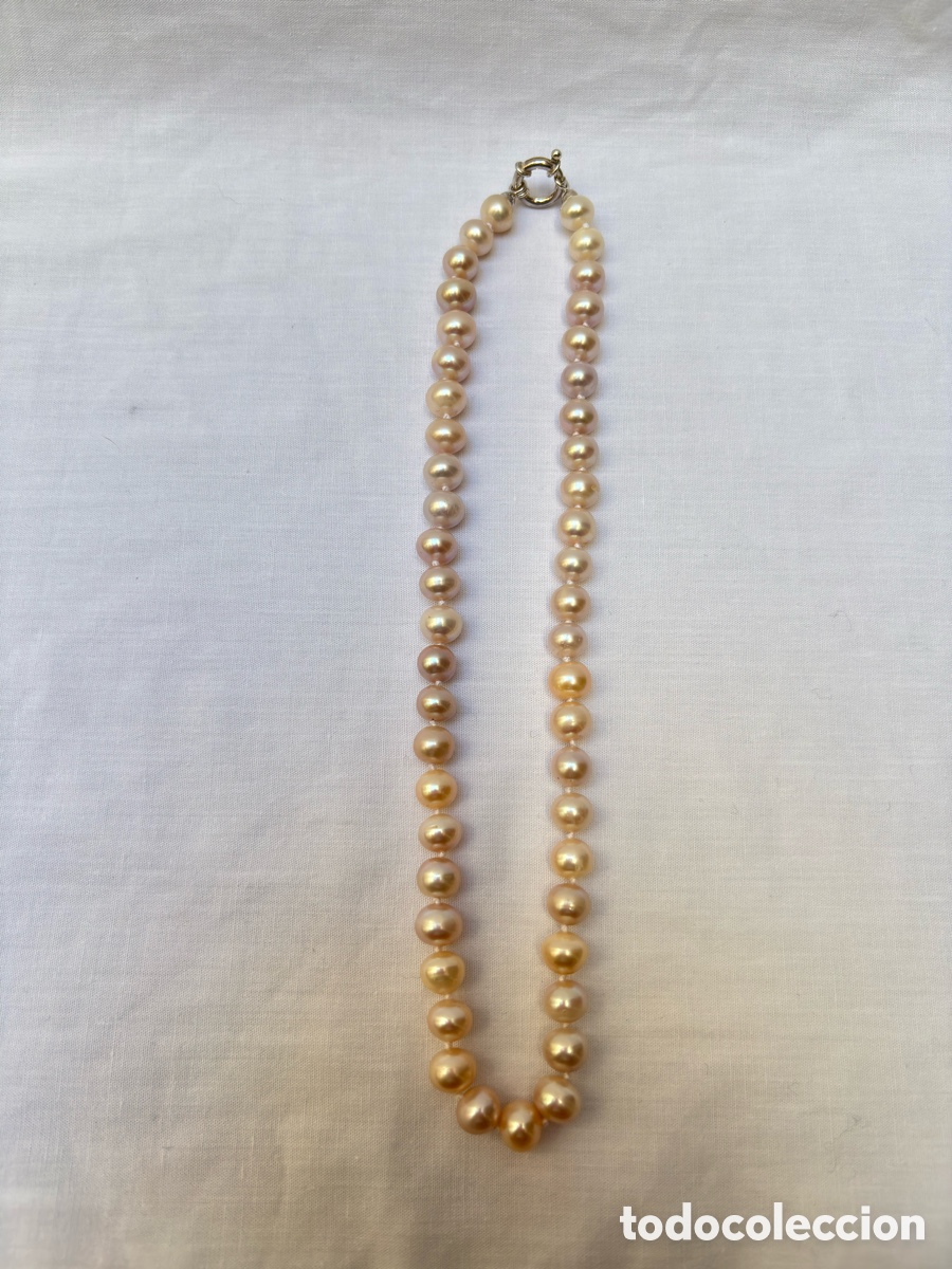 Joyeria: Collar perlas cultivadas