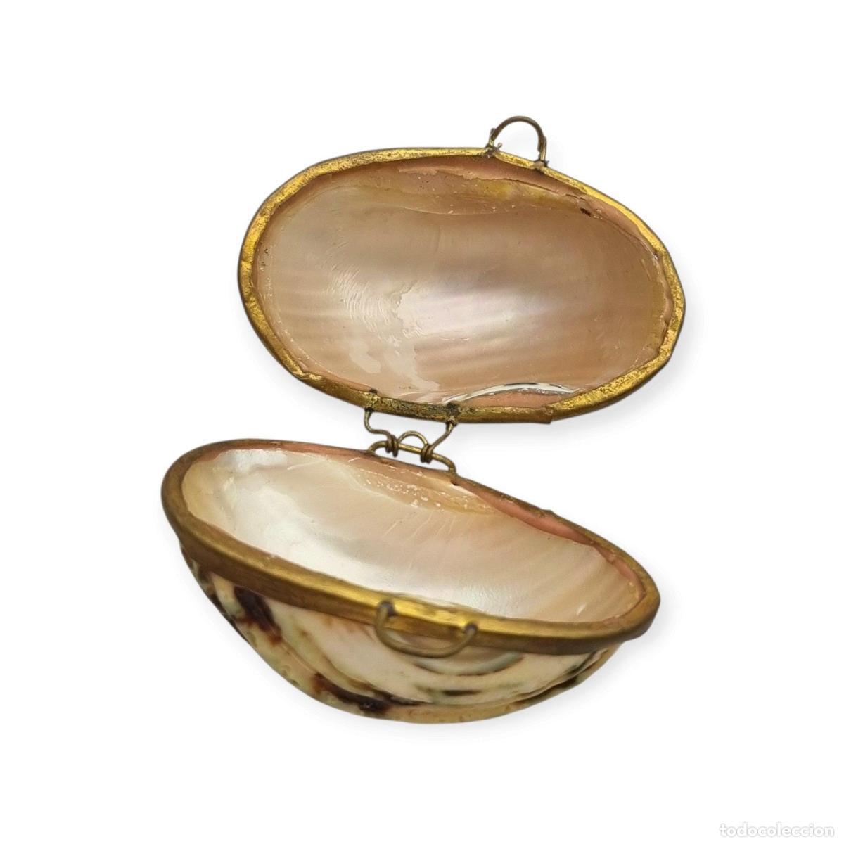 Joyeria: Monedero vintage de concha marina natural con montura de metal dorado, Europa, primera mitad del sig