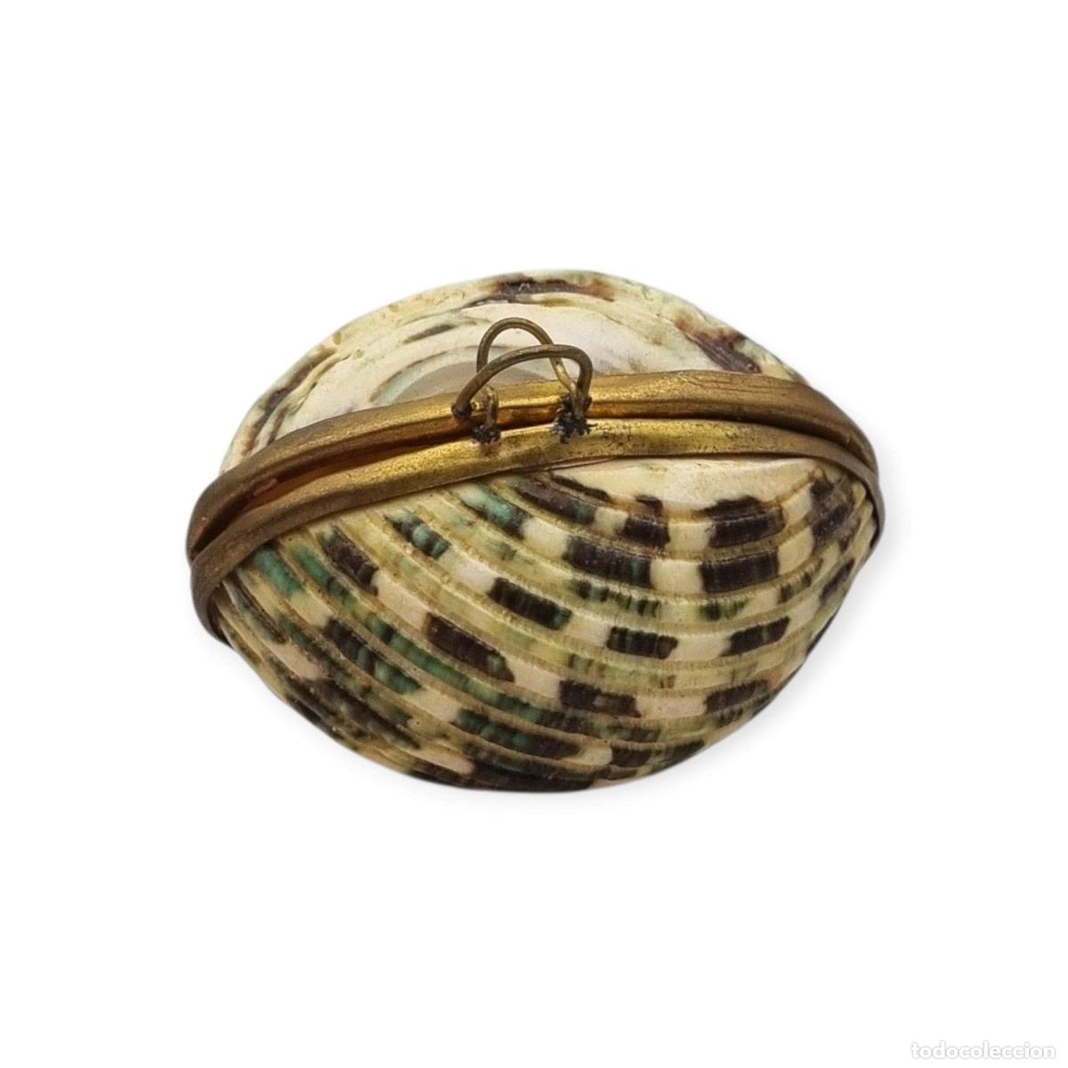 Joyeria: Monedero vintage de concha marina natural con montura de metal dorado, Europa, primera mitad del sig